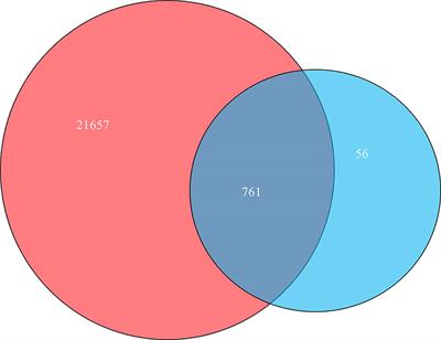 A Network Pharmacology Approach to Investigate the Anticancer Mechanism and Potential Active Ingredients of Rheum palmatum L. Against Lung Cancer via Induction of Apoptosis